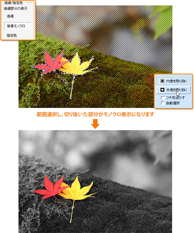 切り抜いた背景をモノクロに！部分カラー写真加工